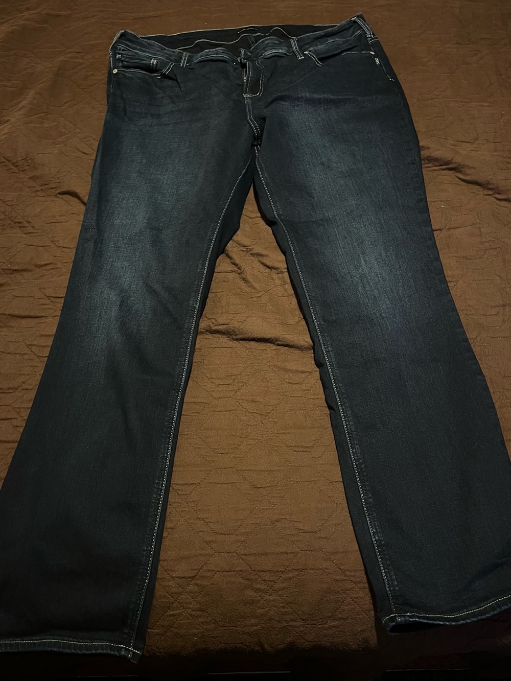 Women’s Plus Silver Jeans Elyse Straight 20W 31L